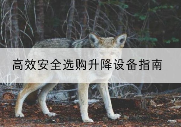 浙江升降货梯厂家推荐-*安全选购升降设备指南