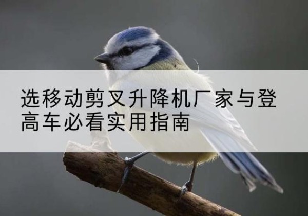 浙江电动升降机厂家-选移动剪叉升降机厂家与登高车必看实用指南
